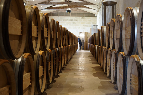 ブルゴーニュを中心に各国のワインを常時900本以上保管。