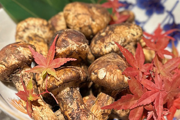 佐賀牛と松茸の秋の期間限定コース
